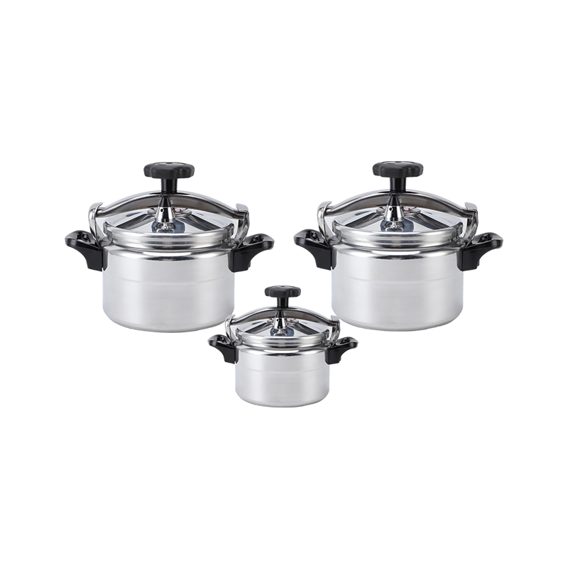 Cocotte Minute-22cm/5L